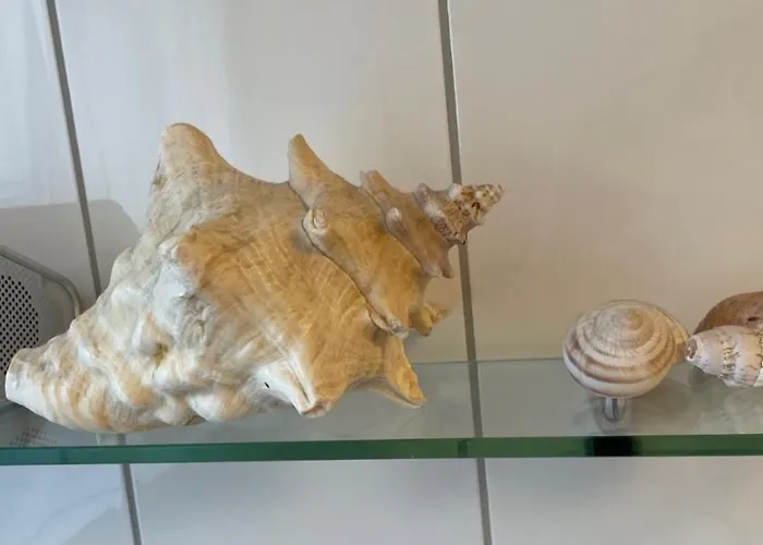 Casa Ingrid Würzburg